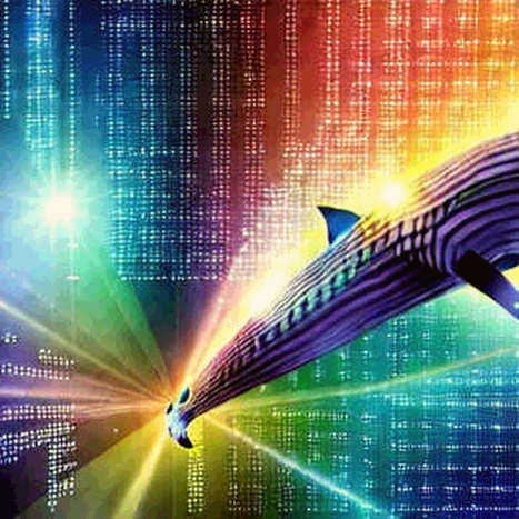The Great Stablecoin Schism: Why USDT and USDC Are Building Two Separate Internets