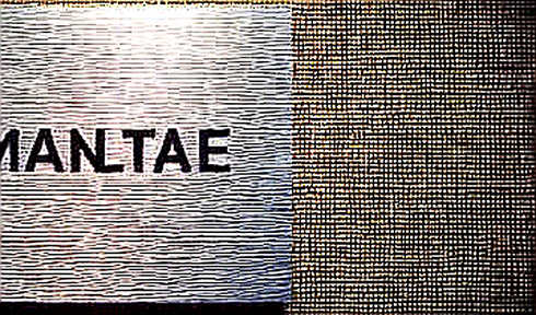 Etched’s $10B Valuation: The Silicon Mirage That Traders Should Short Etched’s $10B Valuation: The Silicon Mirage That Traders Should Short